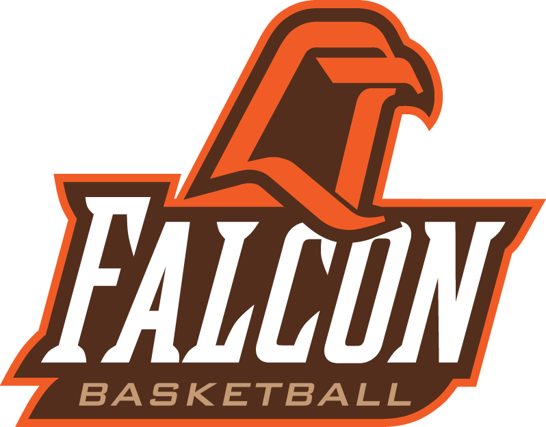 Bowling Green Falcons 1999-2005 Alternate Logo v2 iron on transfers for T-shirts
